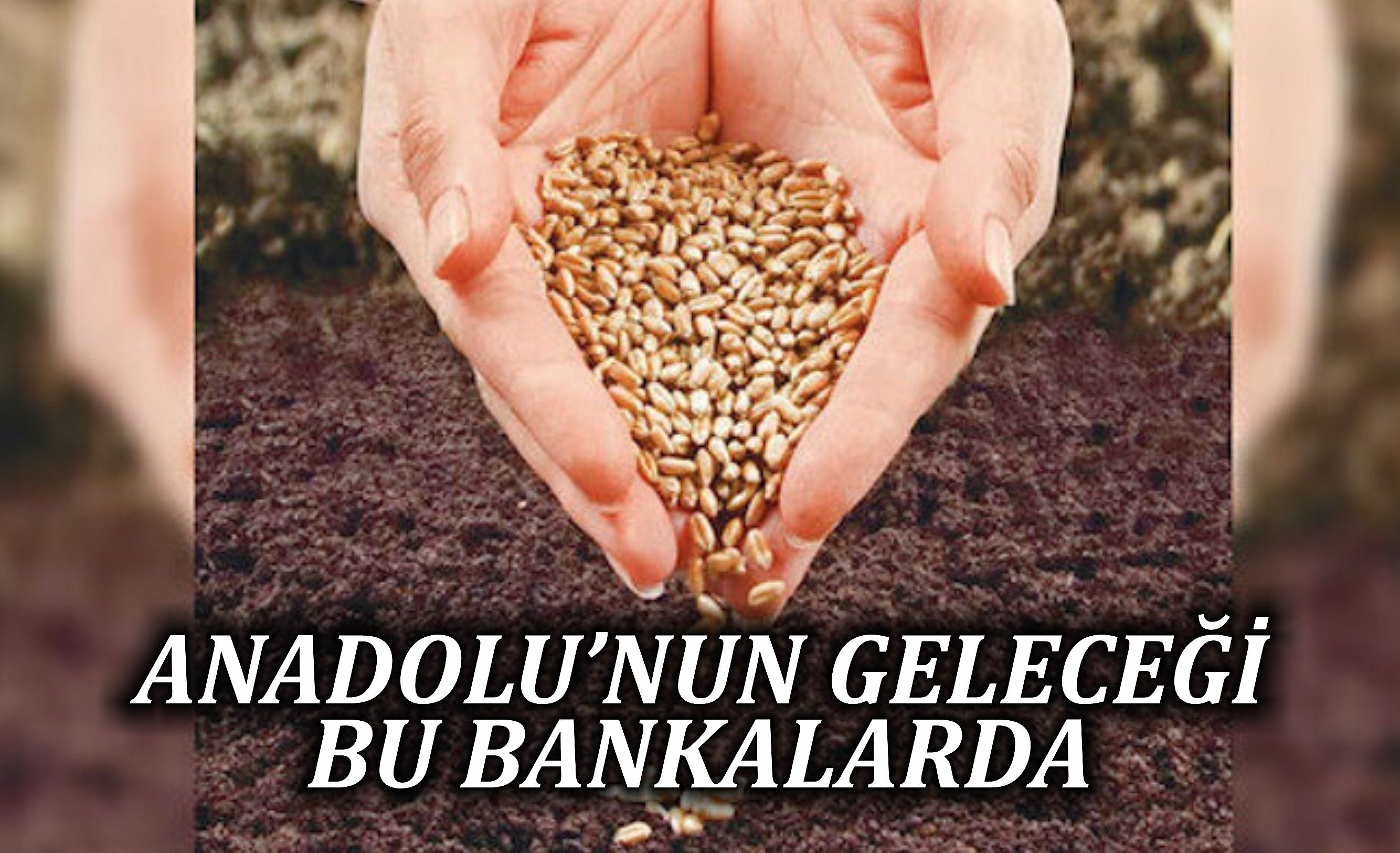 Anadolu’nun Geleceği Bu Bankalarda