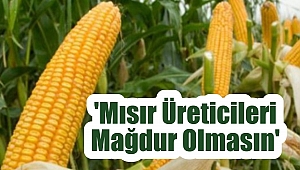 'Mısır Üreticileri Mağdur Olmasın'
